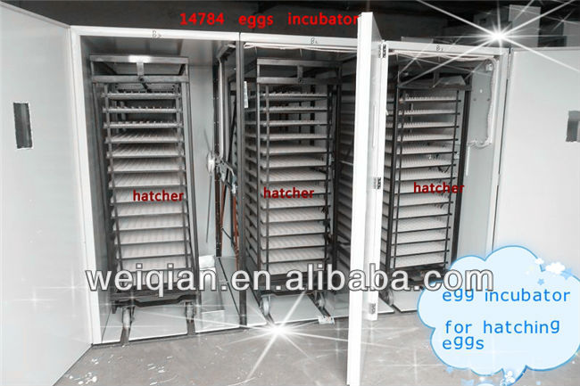 best selling chicken farm/eggs incubator