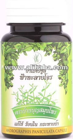 Antioxidant Activity Of Phyllanthus Niruri Benefits Of Turmeric