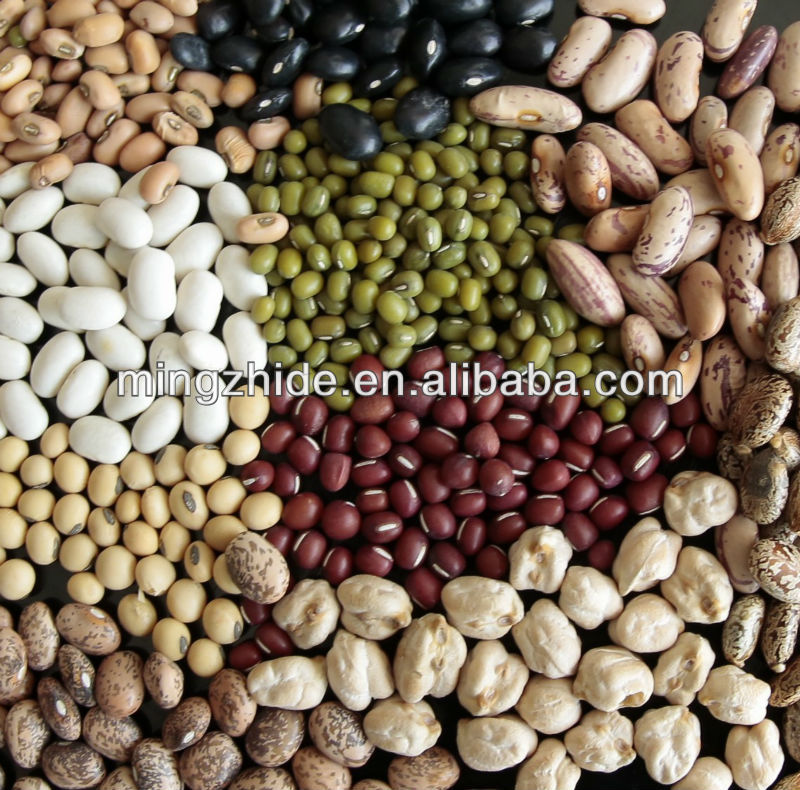 2013 new crop light speckled kidney bean