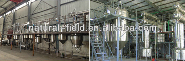 high quality polydatin polygonum cuspidatum root extract 8% 98% by HPLC