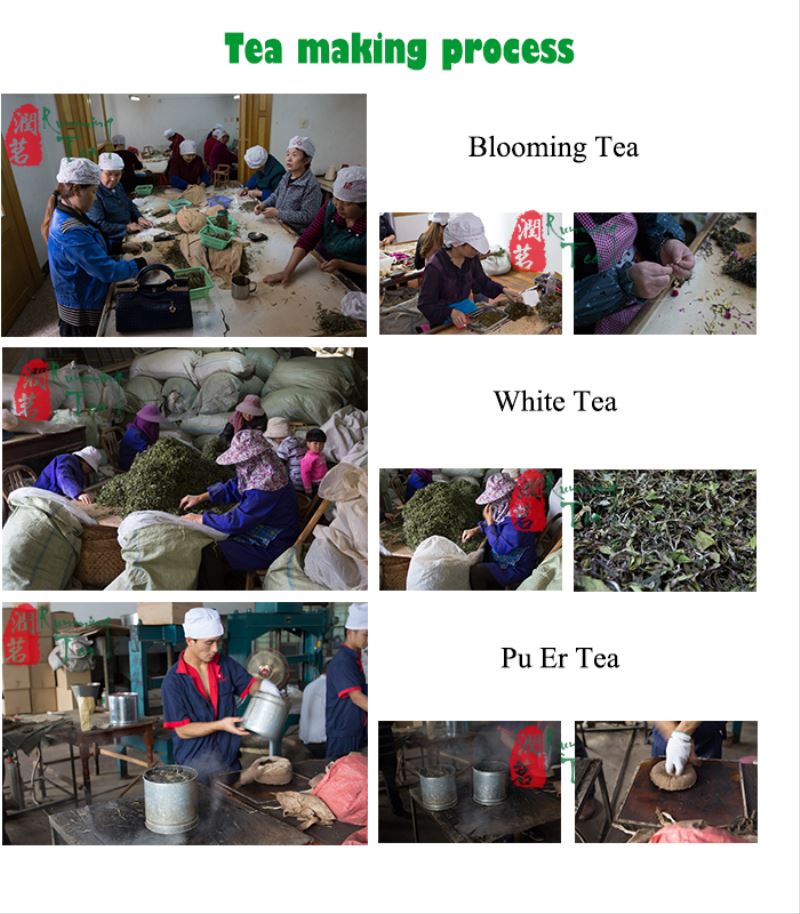 EU STANDARD Royal Lily green blooming tea