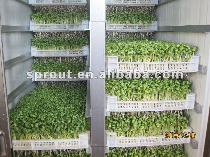 Barley/Wheat/Bean Seeding Machine