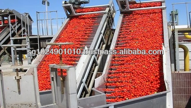 tomato paste with good quality and competitive price