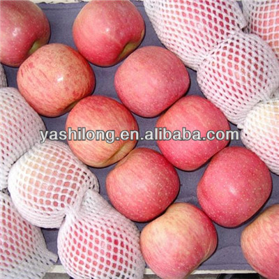 Fuji apple in Grade one From Yantai