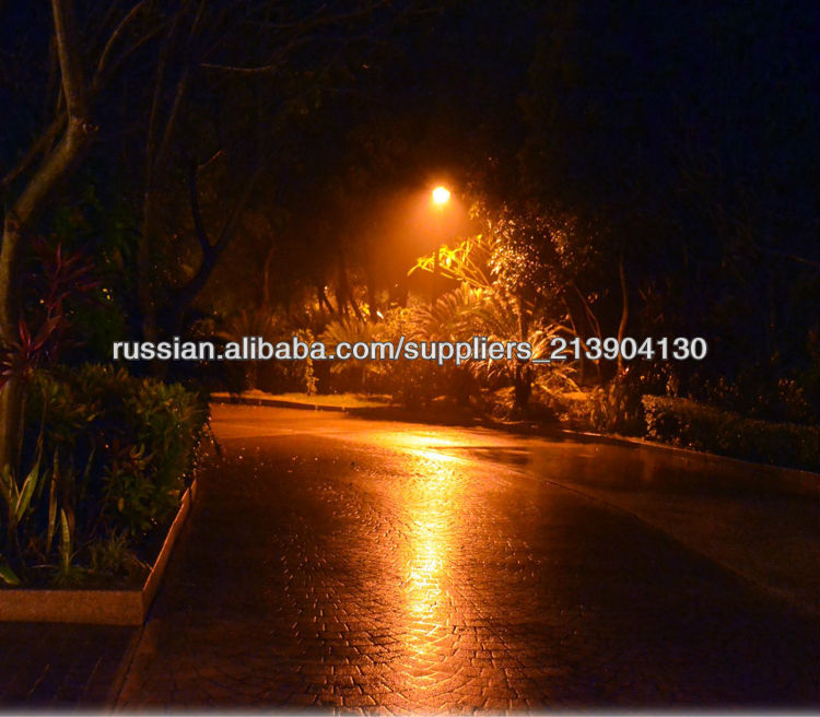 233118ds2isf24guzsgcrs.jpg