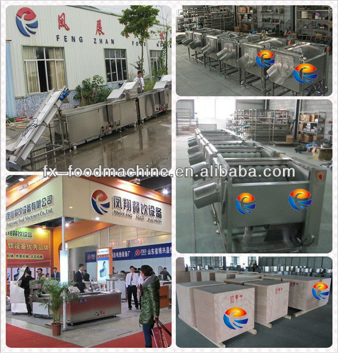 WASC-10 Restaurant use multifunction automatic small vegetable washing machine