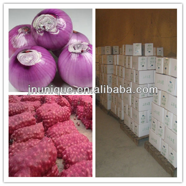2014 new crop round onion from Gansu