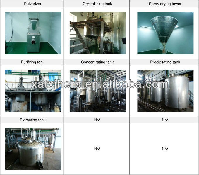 ISO BV certificated 20% polysaccharides 6% reishi triterpene red ganoderma extract