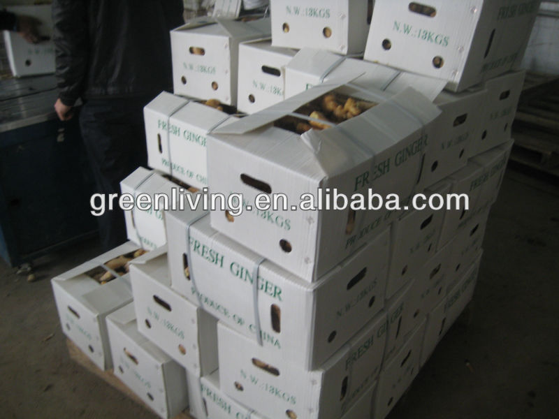 fully air dry ginger supplier