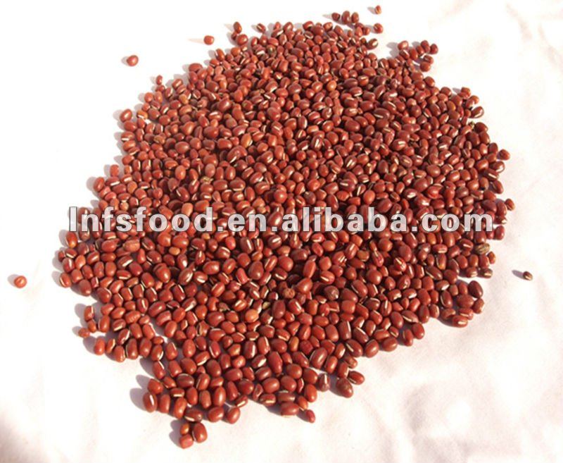 Organic Rmall round red beans