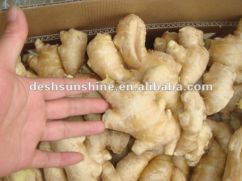 Chinese Grade A half air dry ginger(100-350g)
