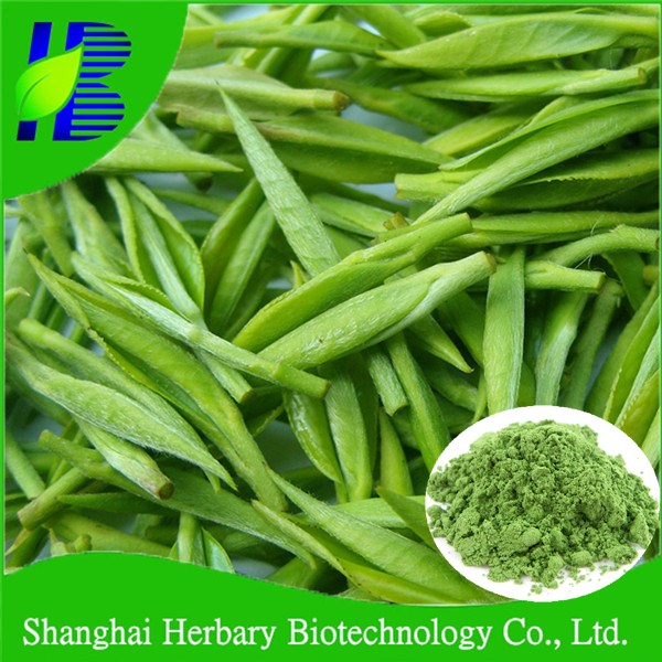 GMP certificated instant tea powder