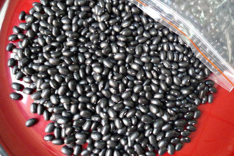 P1000577.JPG