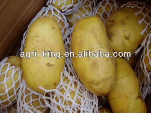 Grade A IQF Potato Food Supplement
