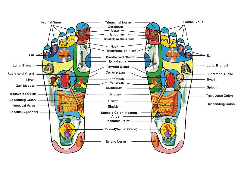 Foot Acupuncture