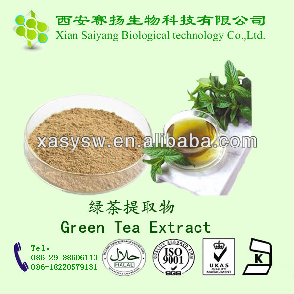 Green Tea Extract Tea polyphenol Powder Capsule