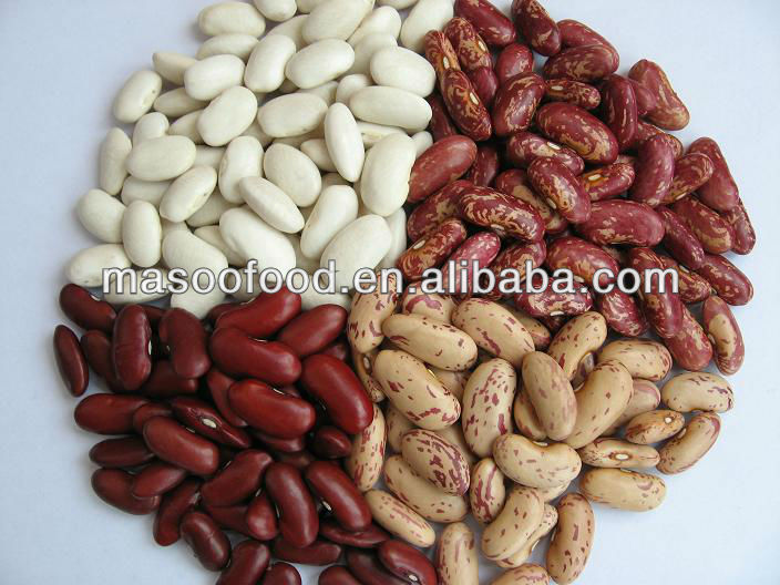 New 2013 Crop Export dry long PSKB - Purple Speckled Kidney Beans from China