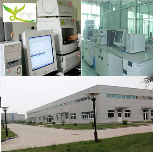 Manufacturer 100% Pure High Quality Plant Extract Decaffeinated Green Tea extract powder
