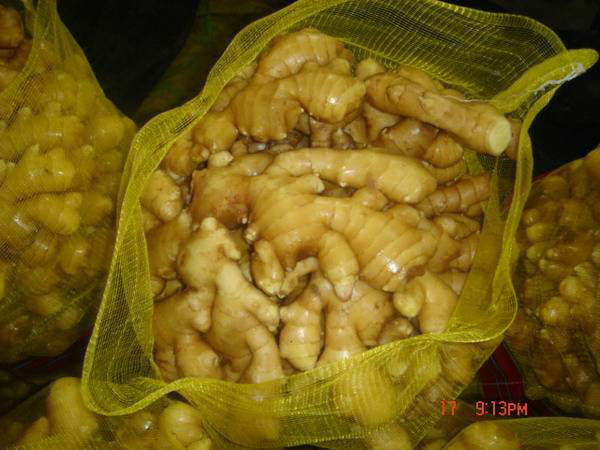 new crop fresh ginger with the size of 100g&up,150g&up,200g&up