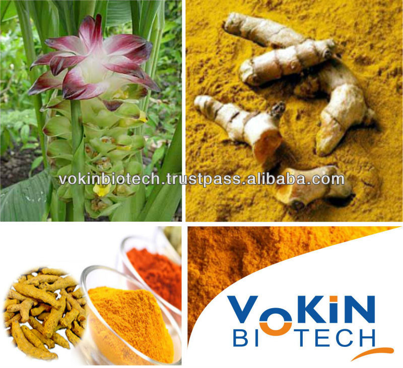 Curcumin Extract 95% by HPLC/ Organic Curcuma Longa/ ISO Turmeric Extract 95% / Natural Turmeric 95% Extract