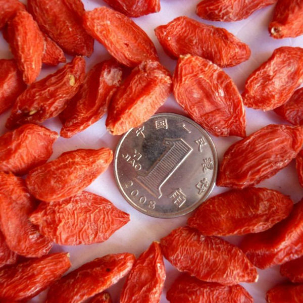 2014 dried goji berry