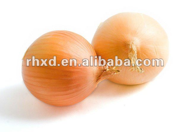 fresh red onion(2013 lowest price)