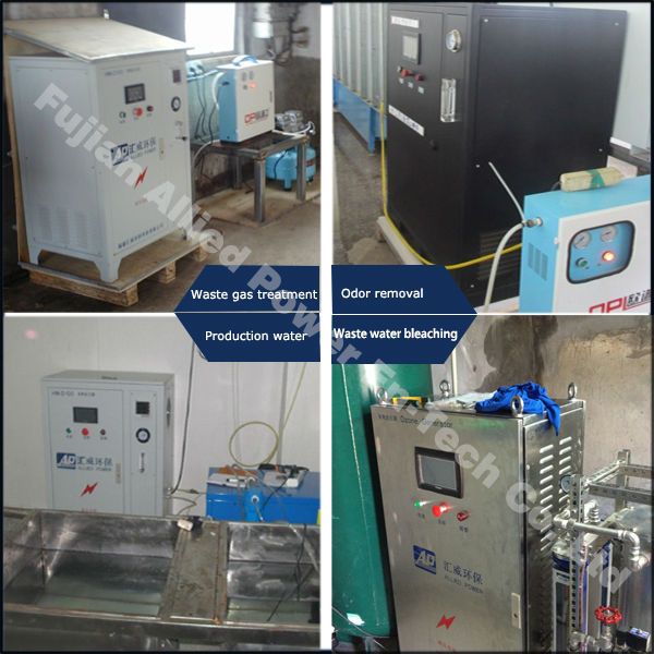 High efficient ozone water generation for chicken feet bleaching