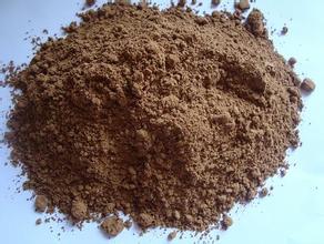 Ganoderma lucidum polysaccharides