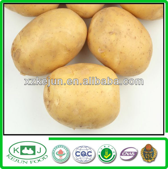 2013 exporting grade new crop fresh potato