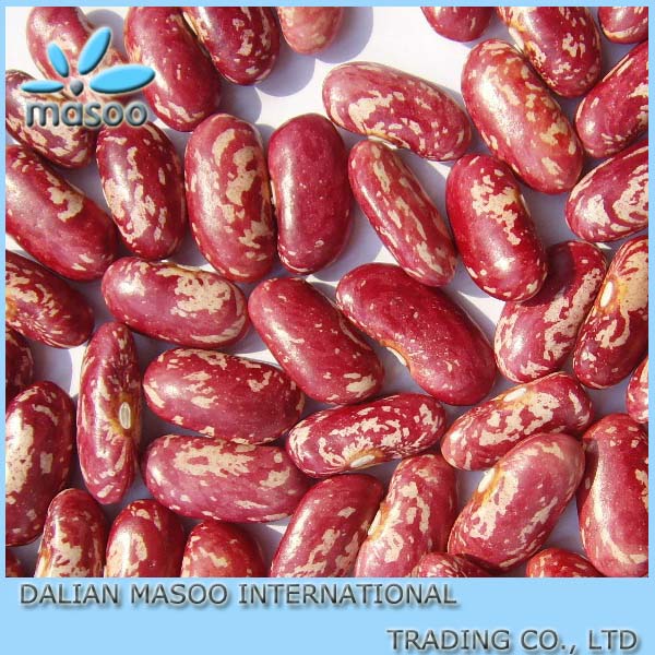 wholesale dry Red mottled bean
