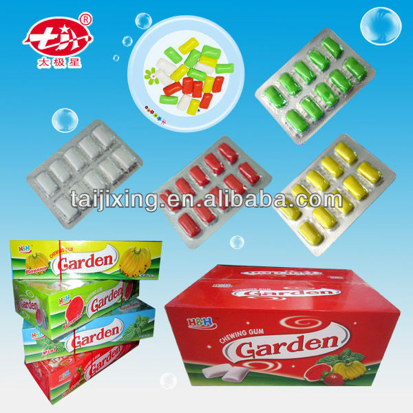 Mint flavor chewing gum xylitol mints XG-004