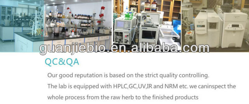 High quality Cocoa Extract//Cocoa Seeds Extract//theobromine