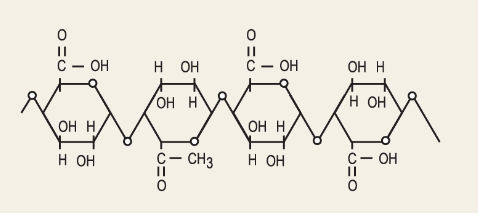 organic modified citrus pectin