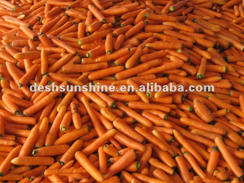 2012 New crop Fresh carrot for sale