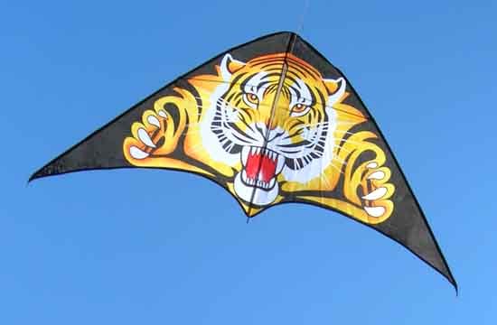 Tiger Kites