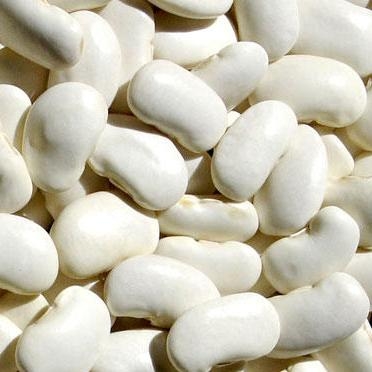all size Japanese white kidney bean