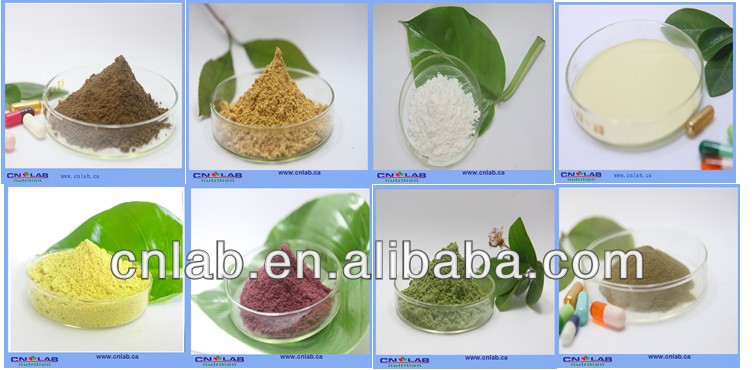 High quality powdered green tea healthy green tea