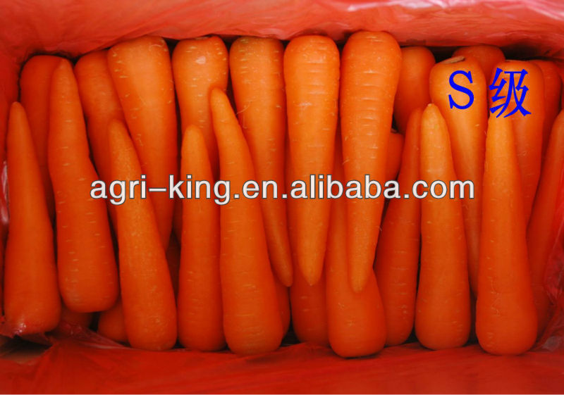 Fresh red carrot new havested in 2013