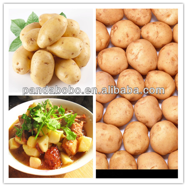 chinese fresh potatoes in different package with high quality and best price on hot sale