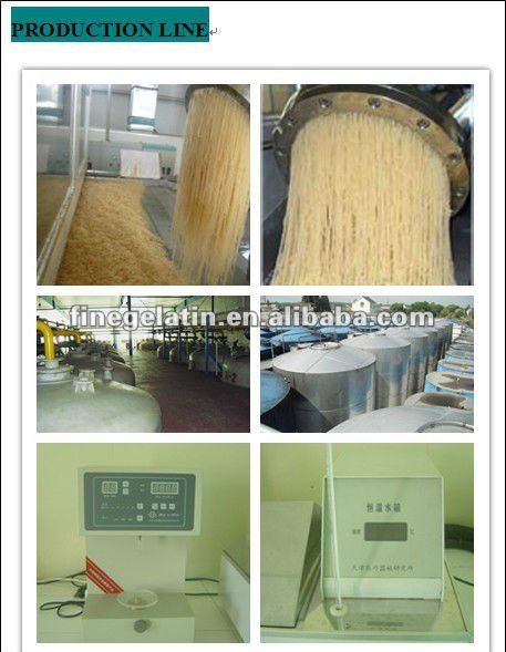 Antioxidants,Chewing Gum Bases,Nutrition Enhancers,Stabilizers,Thickeners Type halal gelatin powder