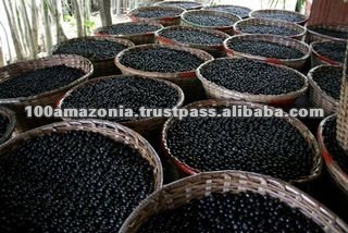 acai paneiros.jpg