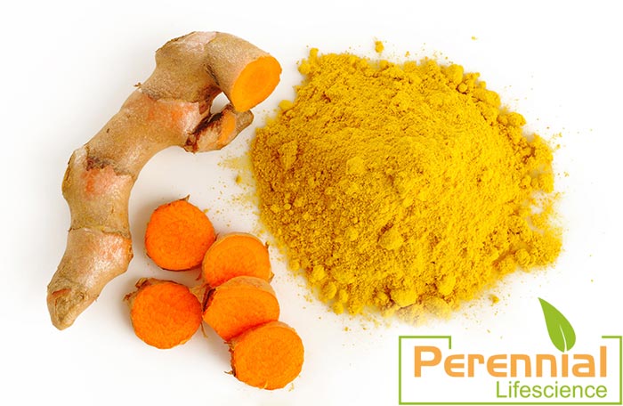 Turmeric Root Extract,curcumin extract 95%, curcuminoid powder