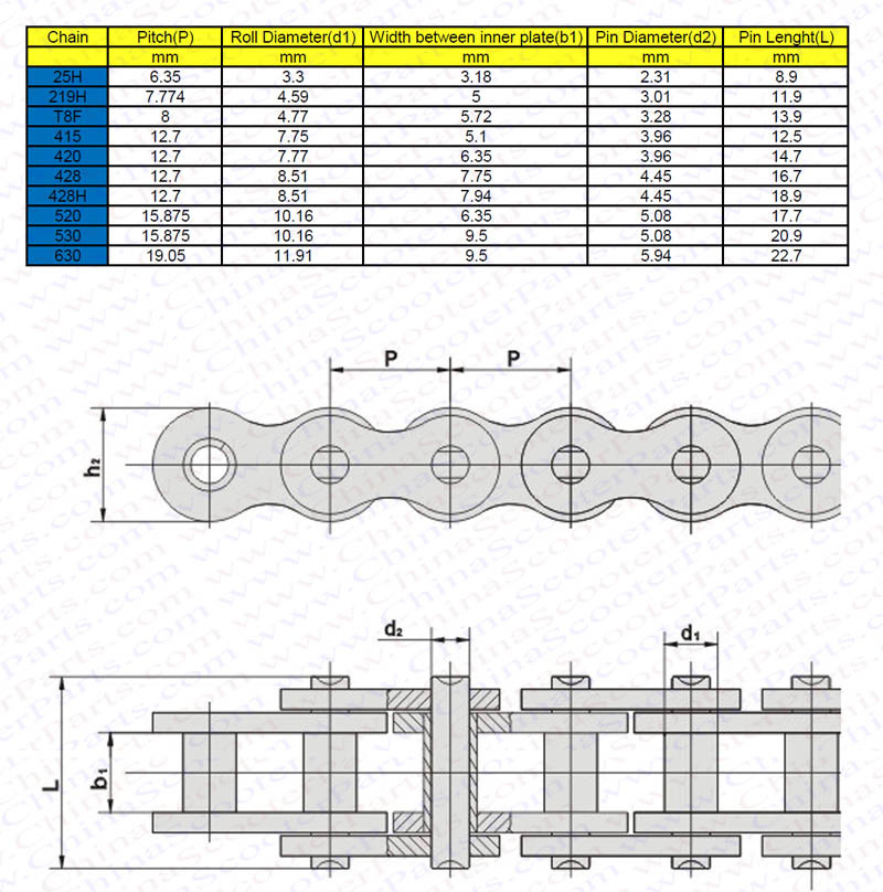 Chain Size