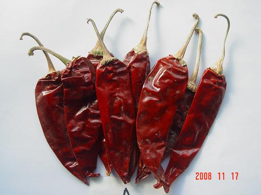 No 1 dry red American Red chilli