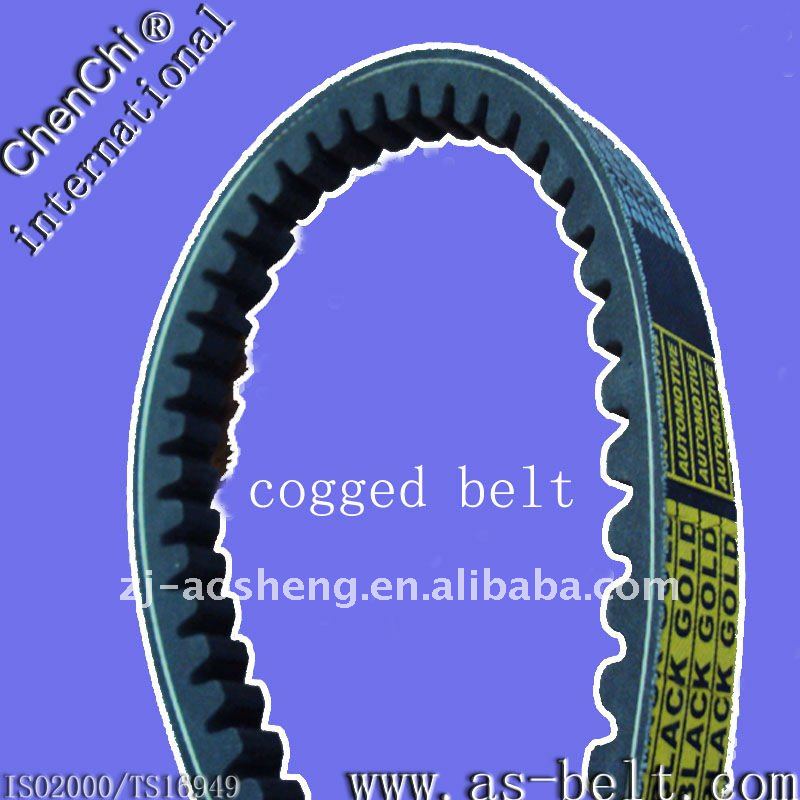 cogged belt.JPG