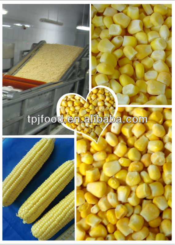 2014 IQF corn kernels(Huazhen,Middle sweet,Jinfei,Super sweet)