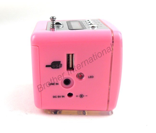 SDC18792.JPG