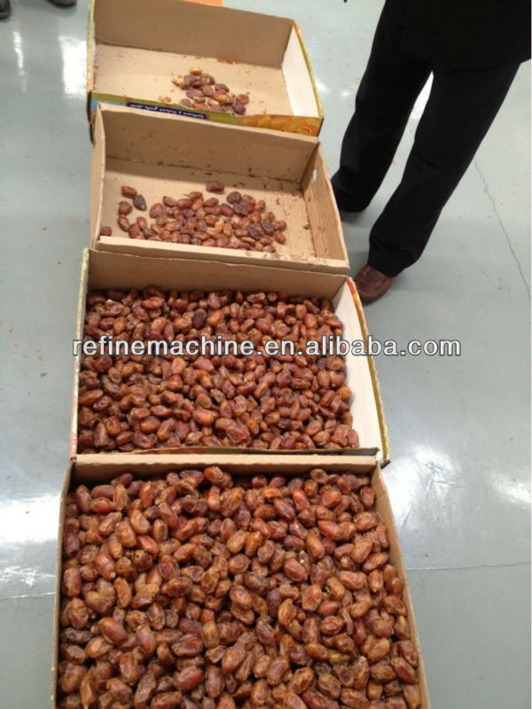 Date processing line