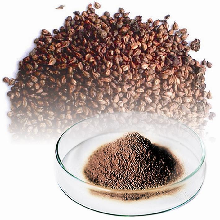 Top quality black grape seed extract 100% natural