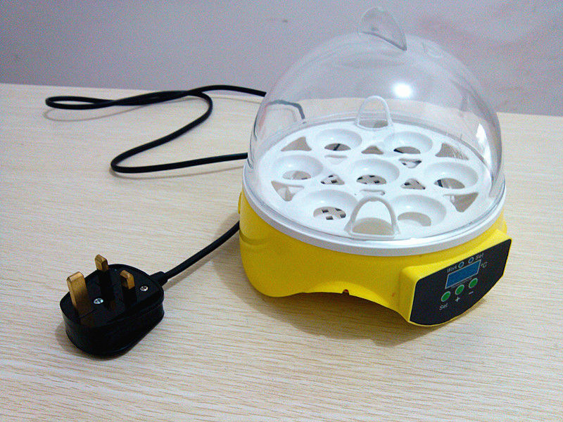 automatic Mini birds Egg incubator hatching birds, View incubator 